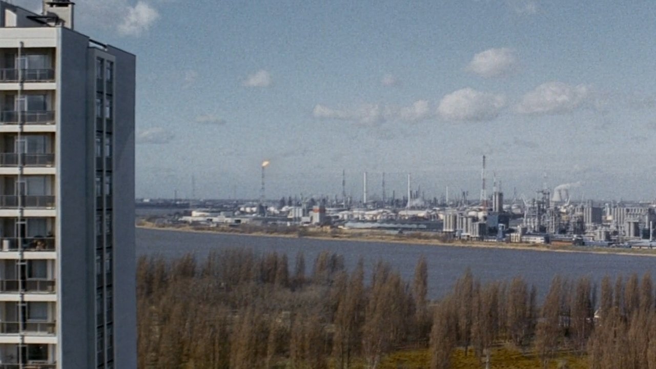 Left Bank (2008)