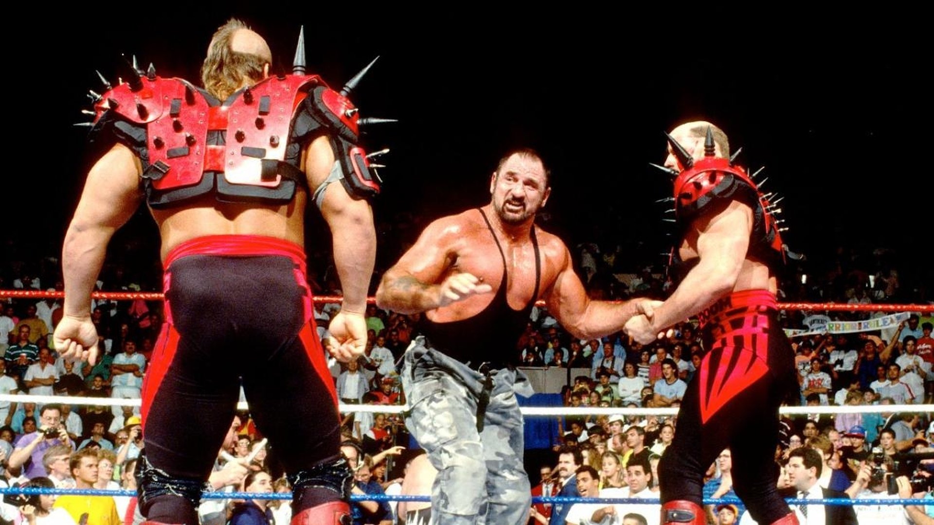 WWE SummerSlam 1991 (1991)