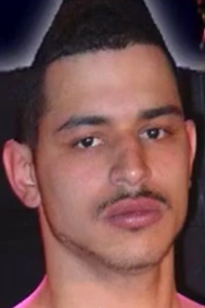 et billede af The Beast