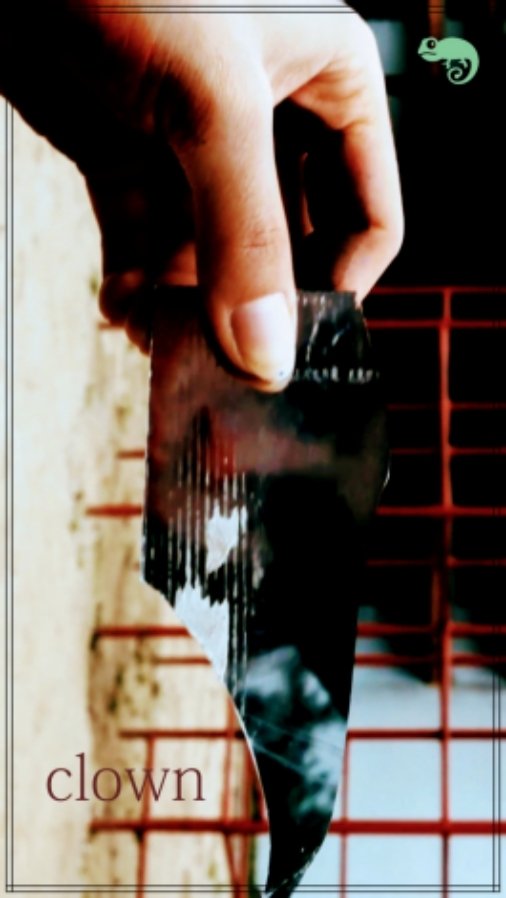 TMDB Image