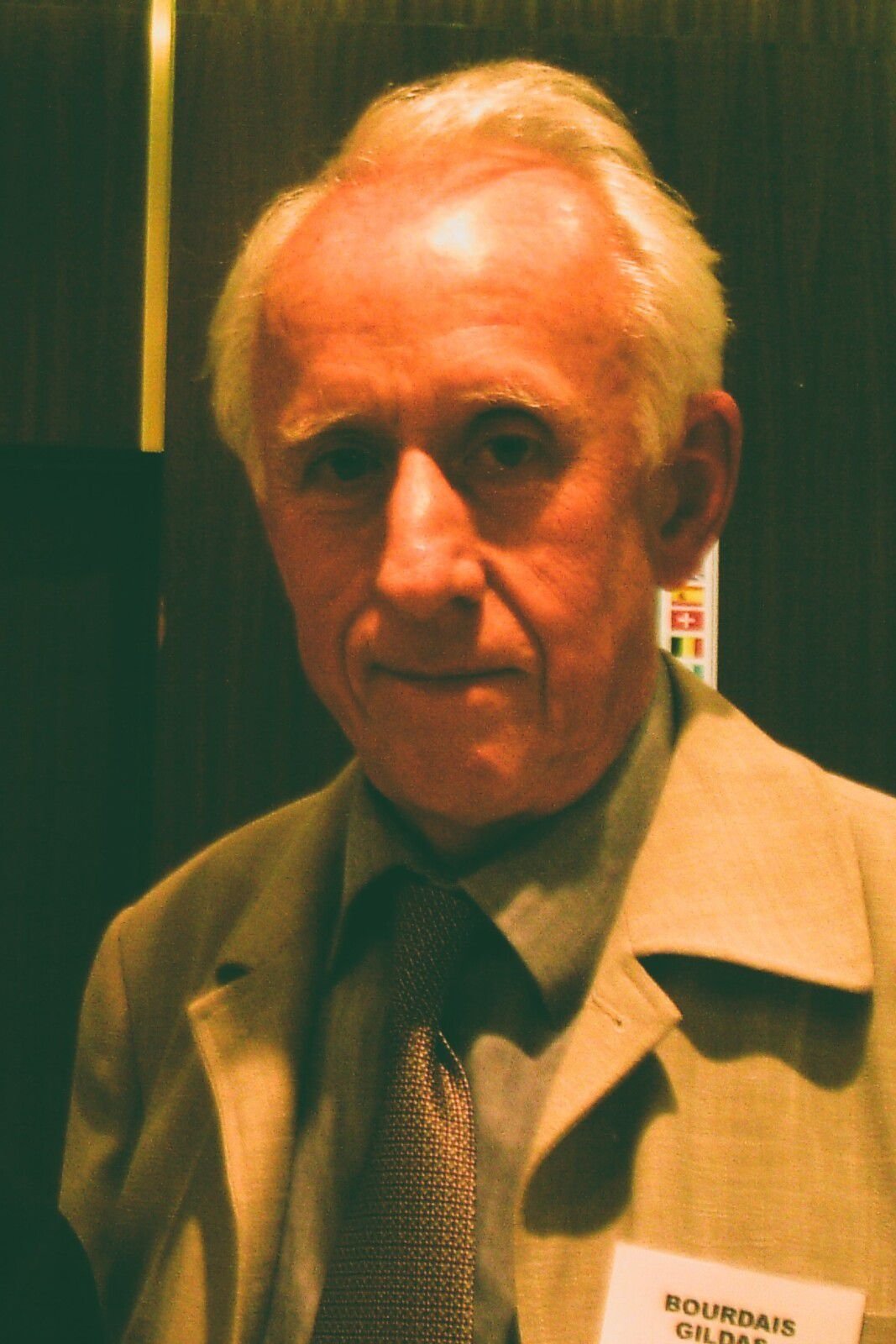 et billede af Gidas Bourdais