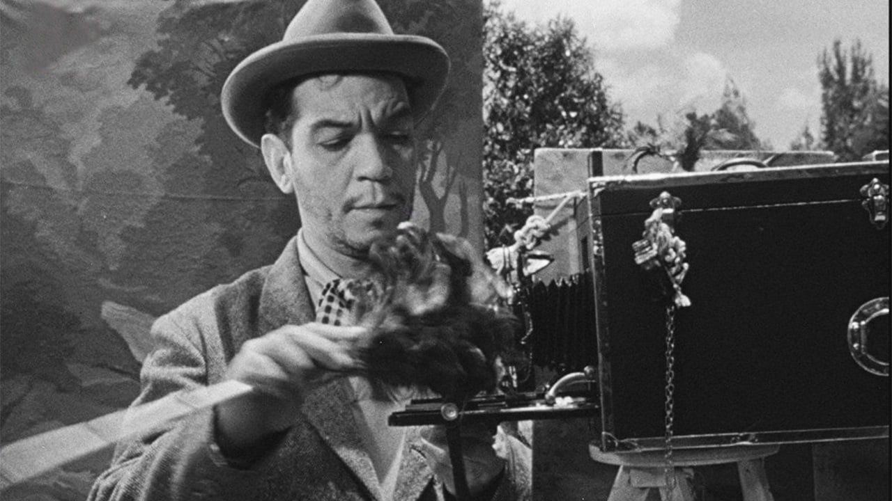 El señor fotógrafo (1953)