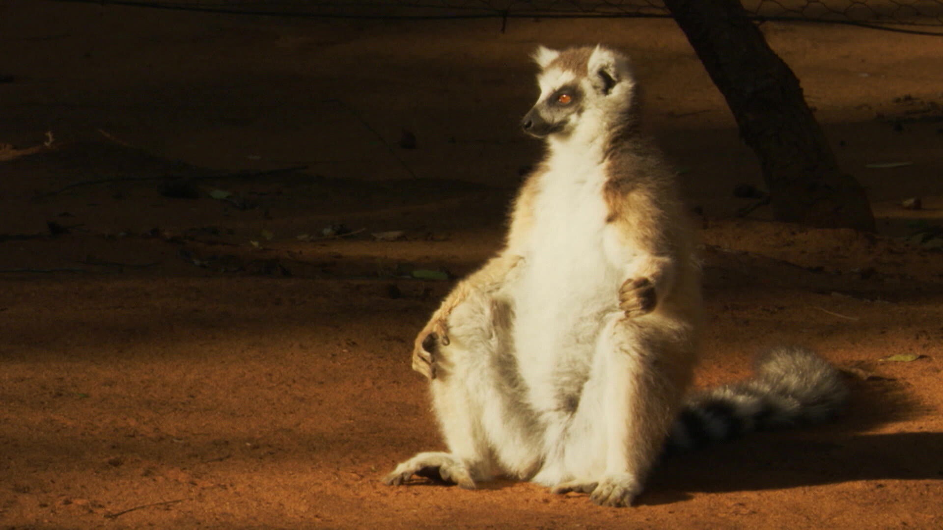 Earth Odyssey with Dylan Dreyer S03E09 backdrop