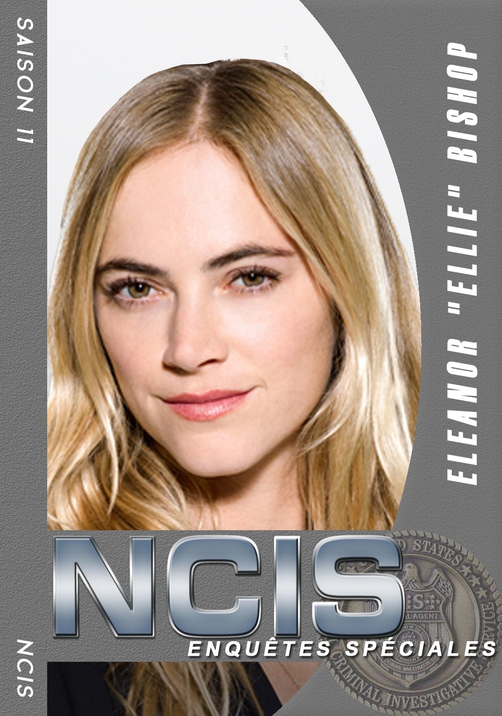 NCIS : Enquêtes Spéciales streaming