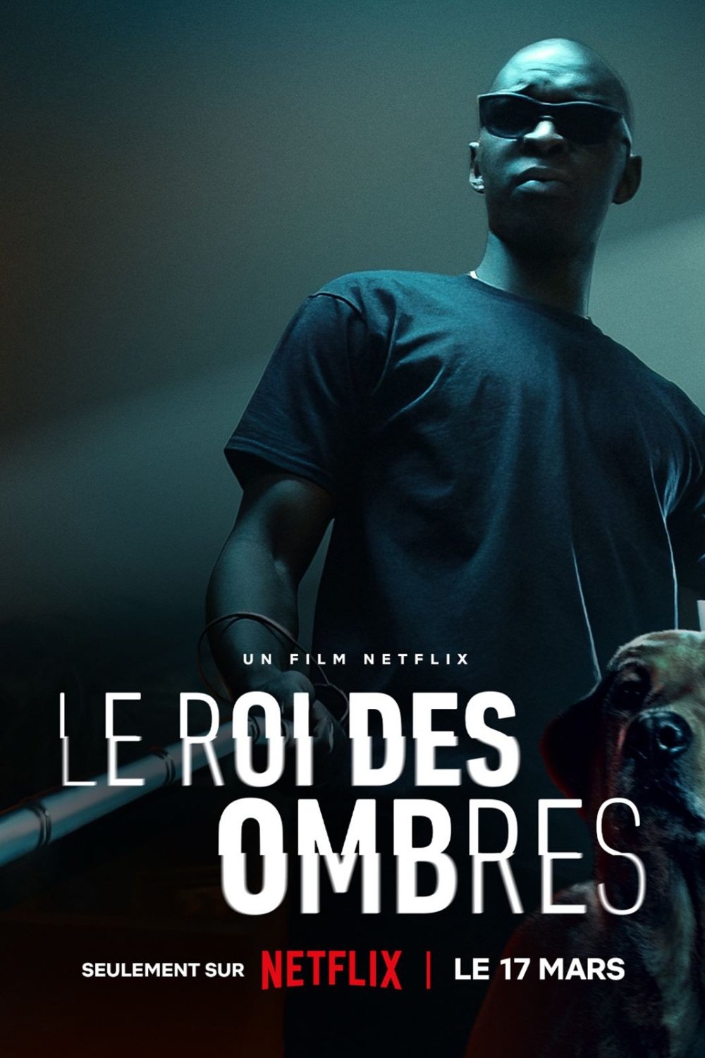 IR - Le Roi Des Ombres, In His Shadow زیر سایه او