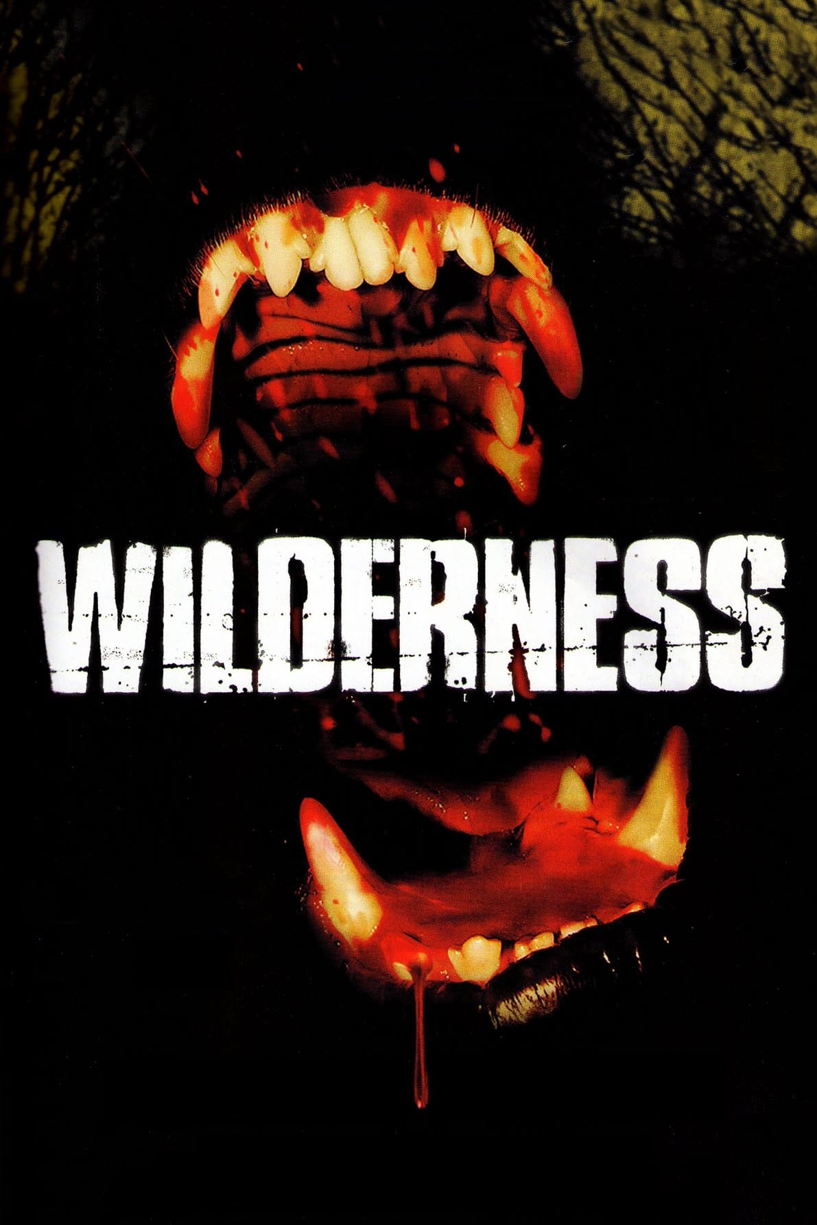 Affiche du film Wilderness 142690