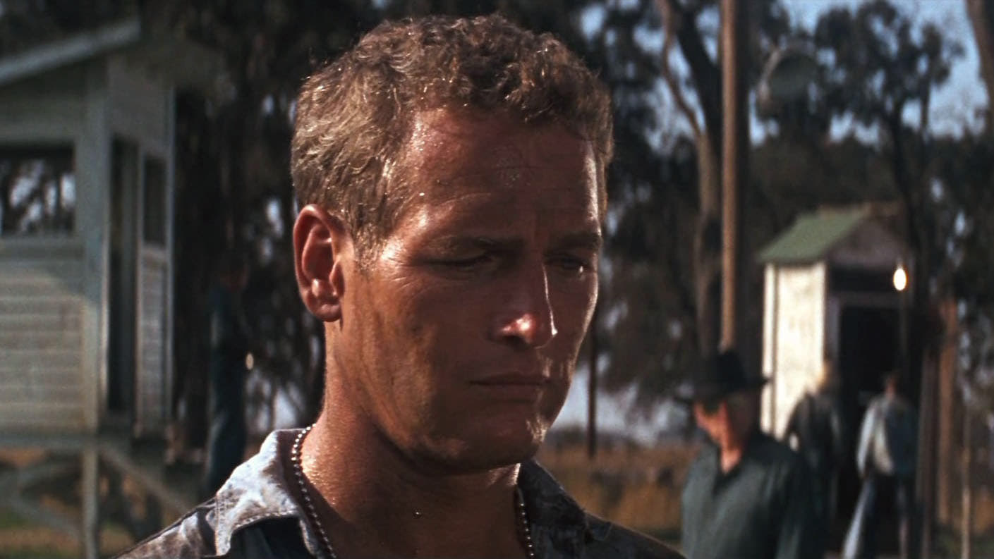 Cool Hand Luke (1967)