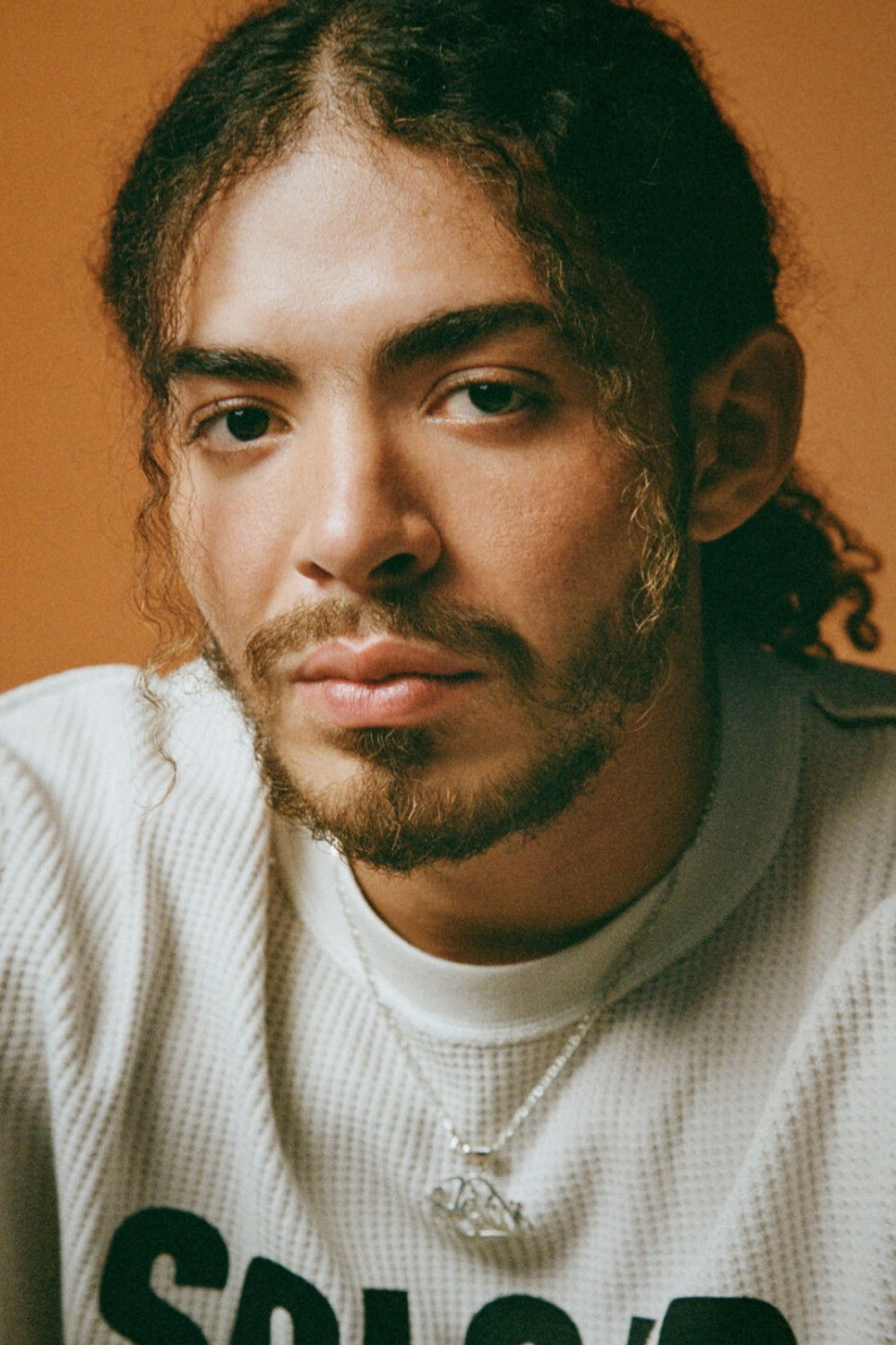 et billede af Zamdane