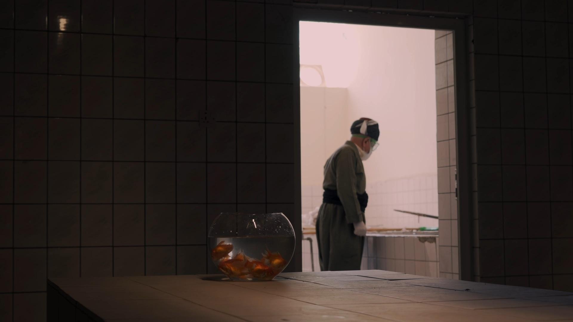 Laboratory No.2 (2021)
