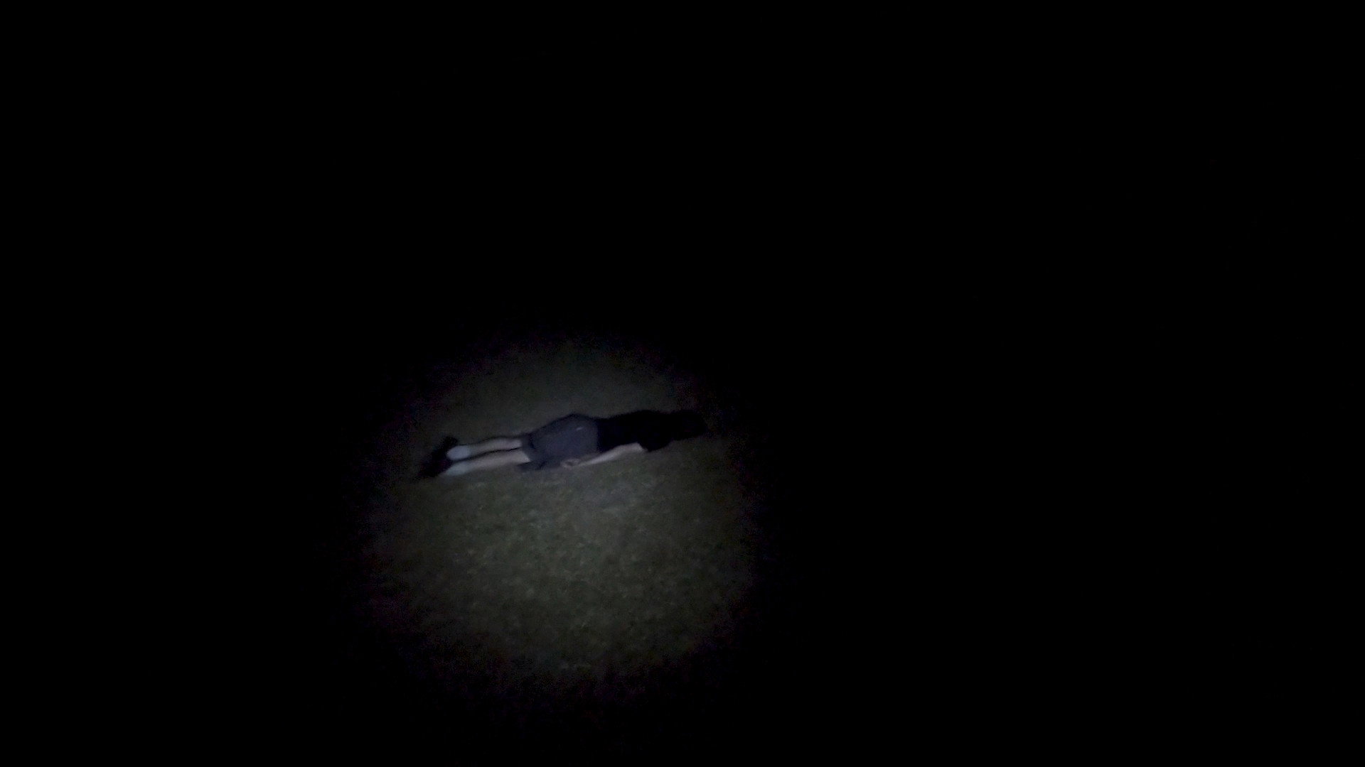 Lost Dog movie still