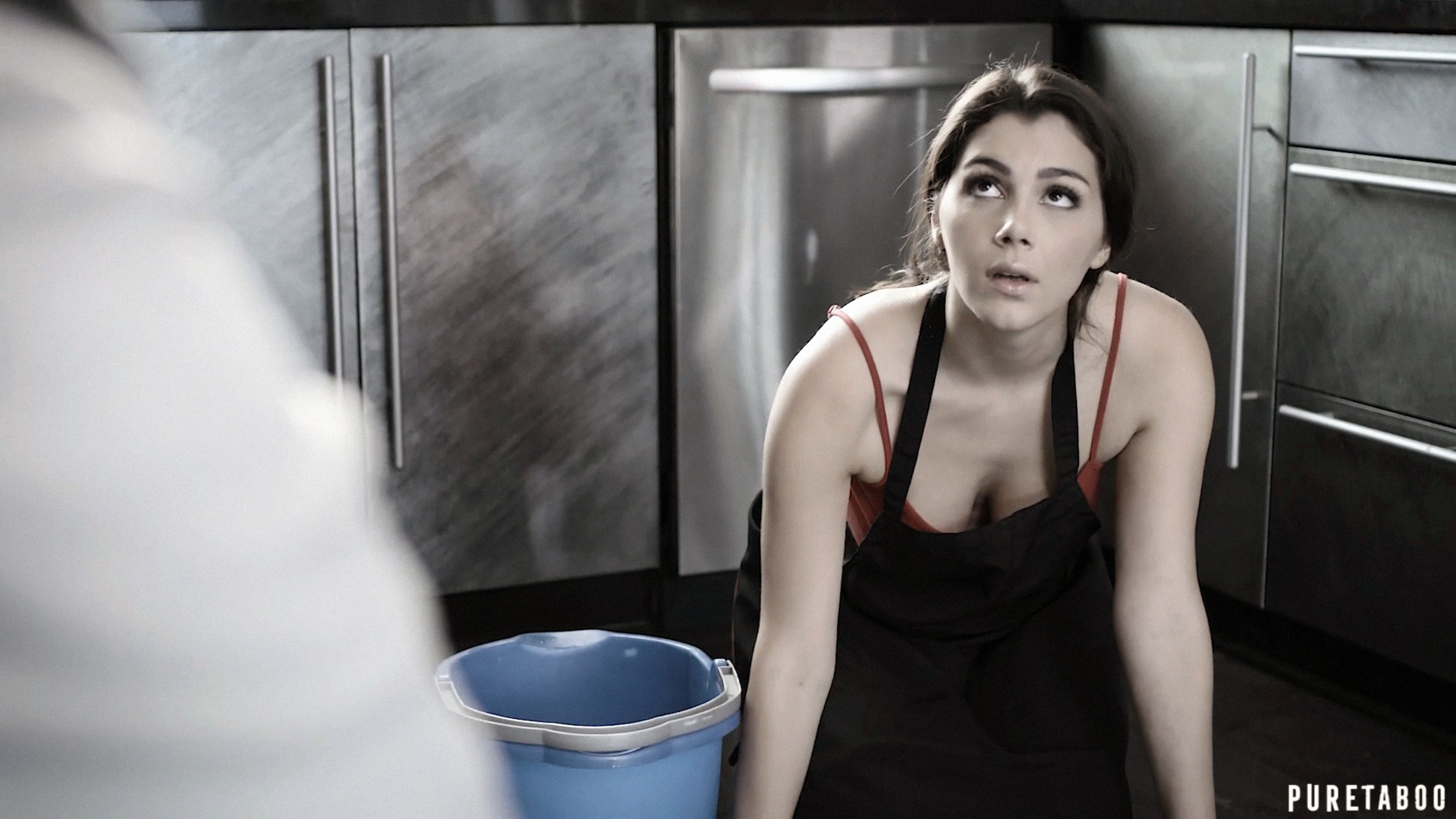 The Housemaid's Tale (2018)