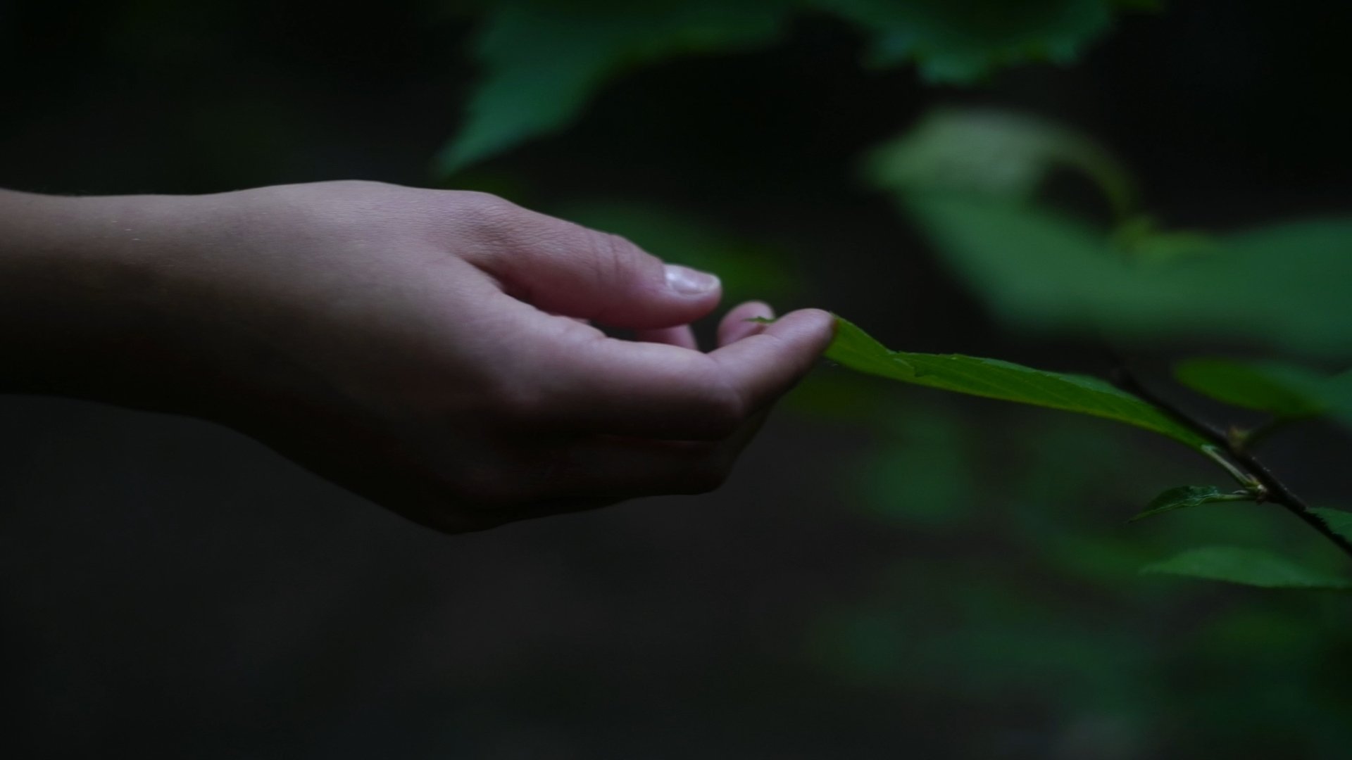 Liminal Girl (2024)
