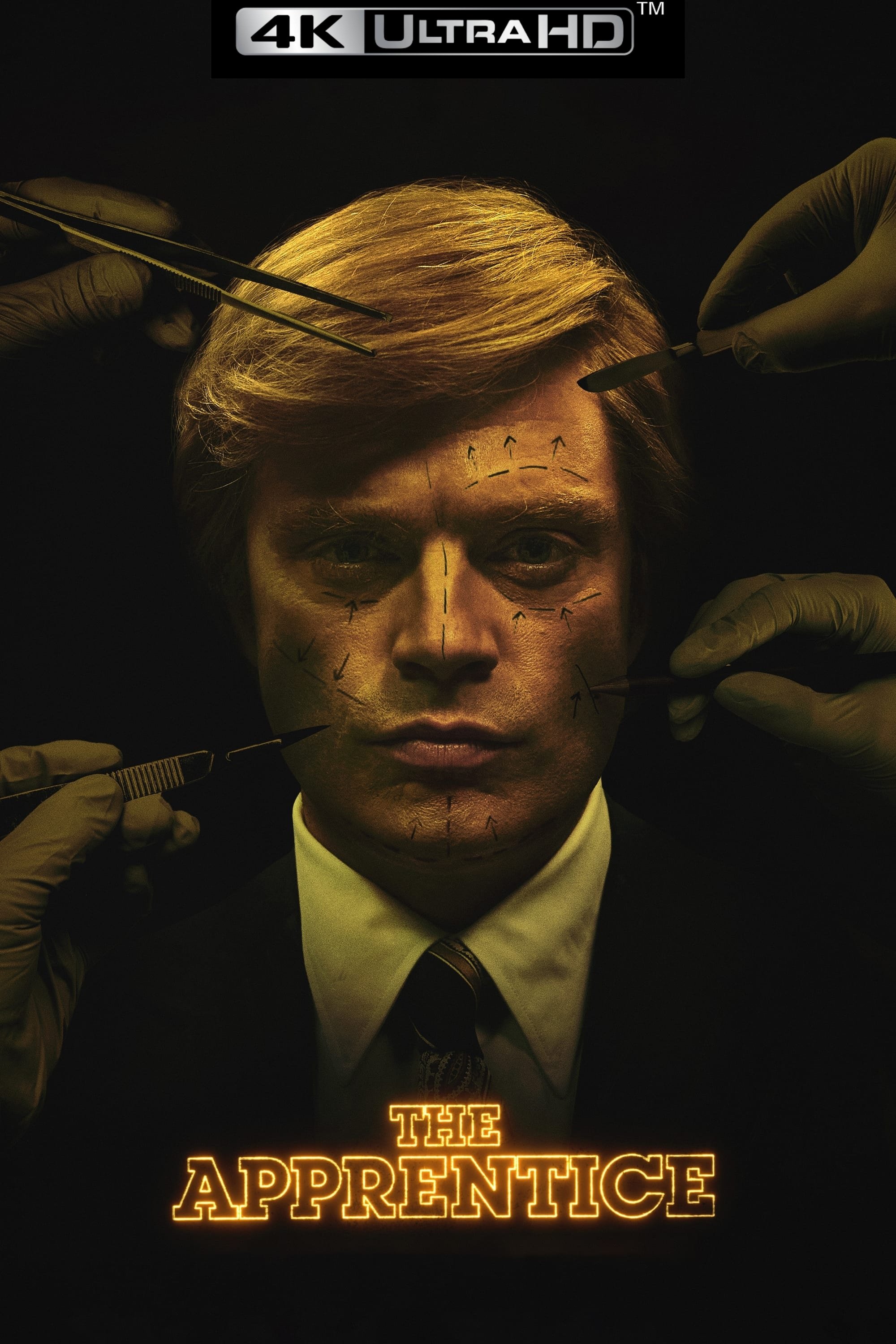 The Apprentice