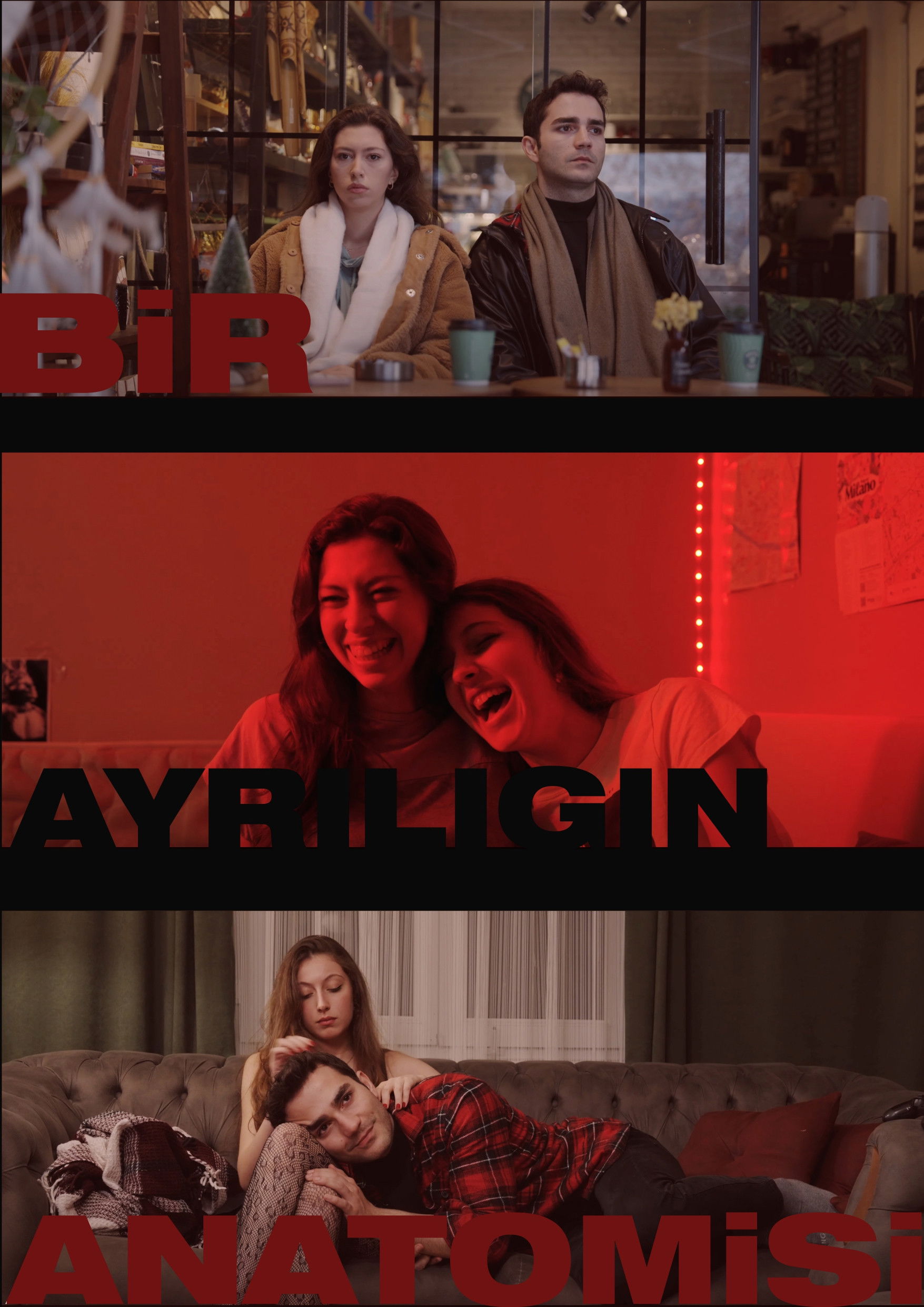 Bir Ayrılığın Anatomisi