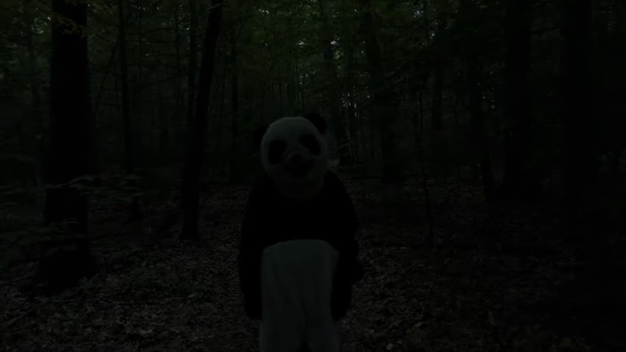 The Wild Panda (2022)