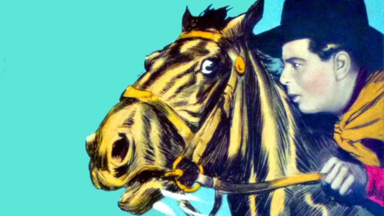 Hey! Hey! Cowboy (1927)