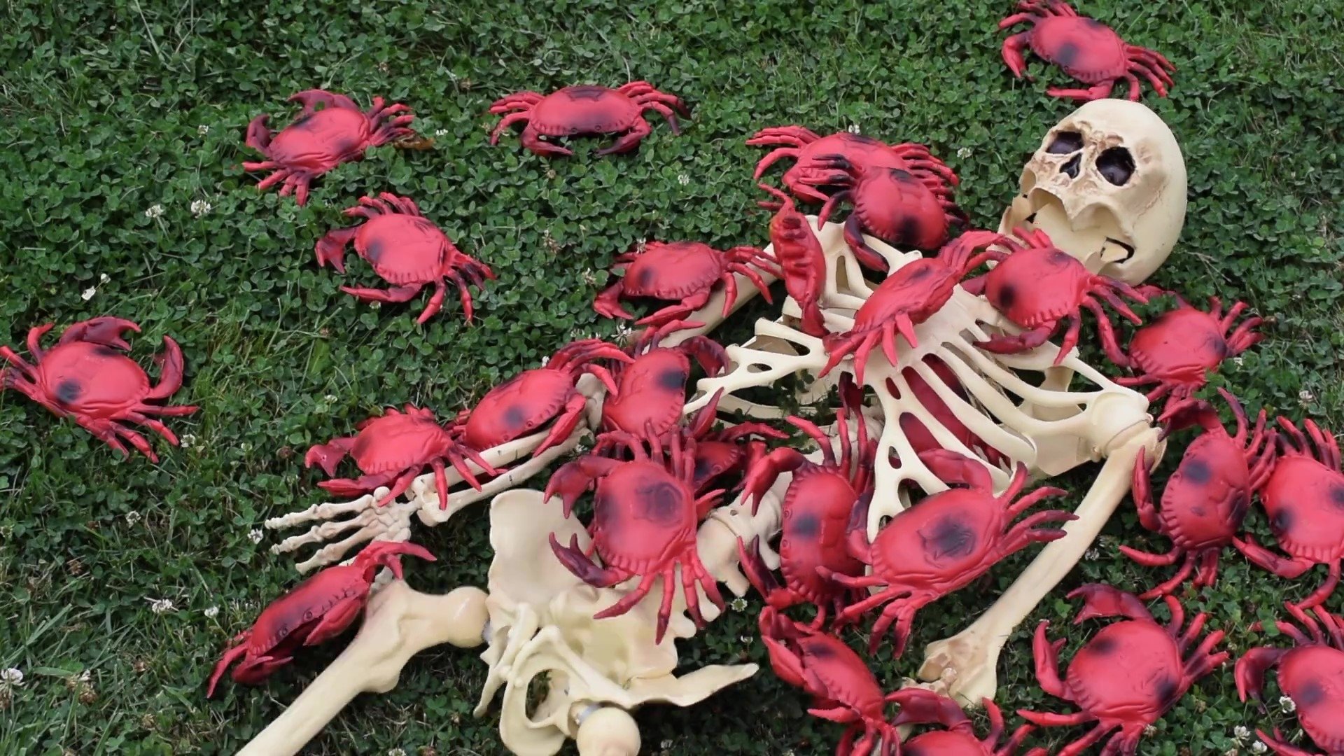 Cocaine Crabs From Outer Space (2022)