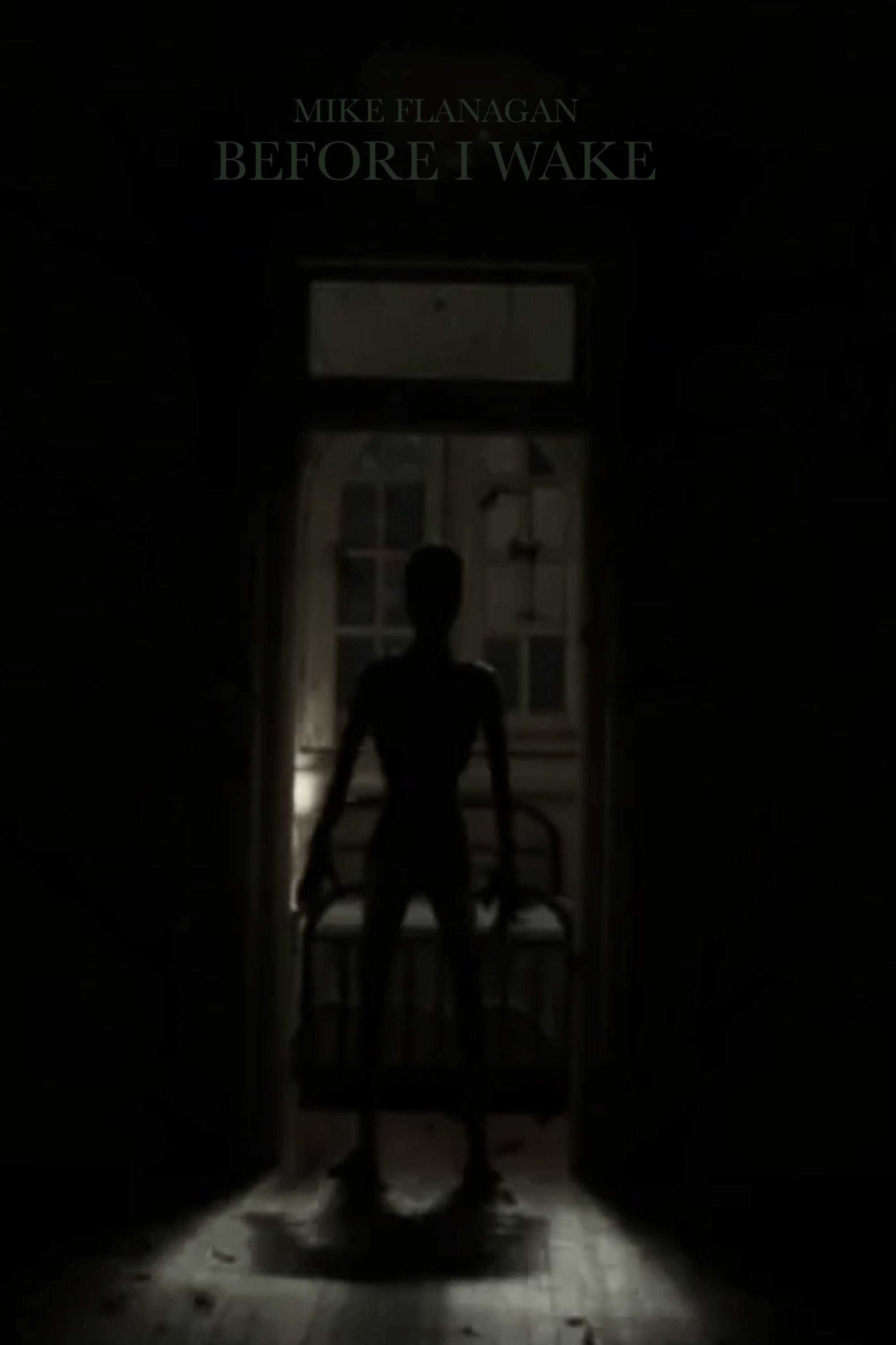 Before I Wake