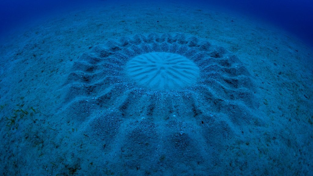 Nature's Weirdest Events