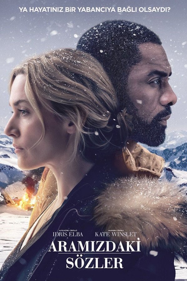 The Mountain Between Us