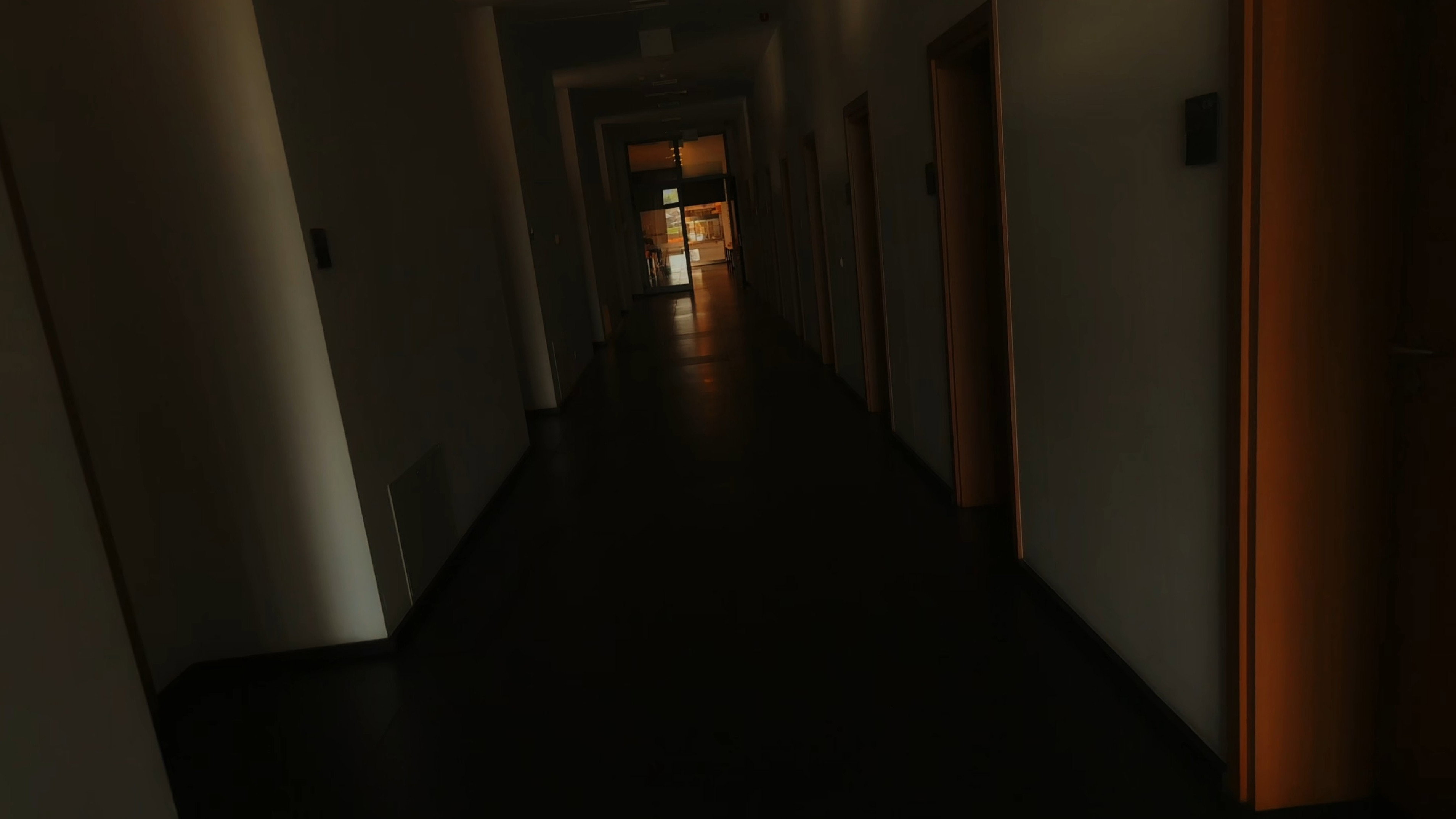 The Light
