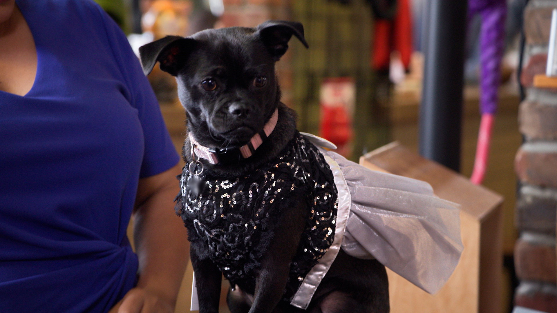 My Dream Quinceañera S01E05 backdrop