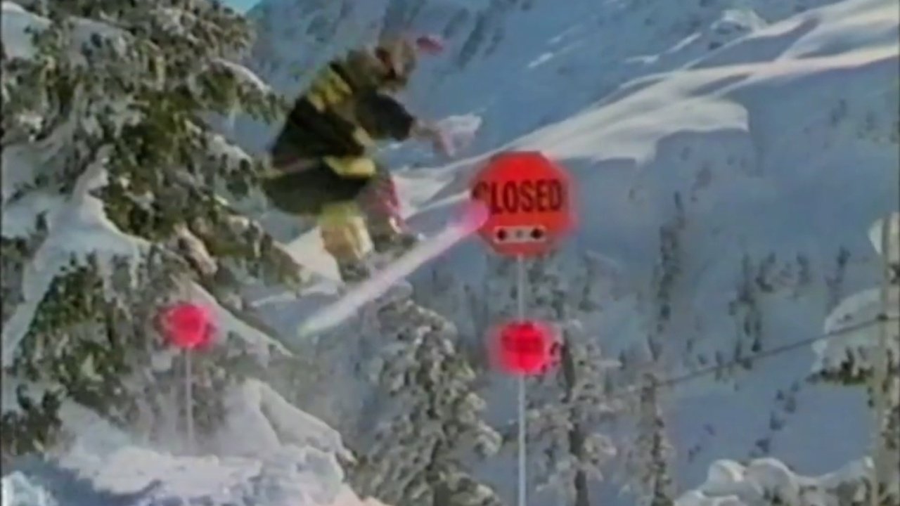 Totally Board (1991)