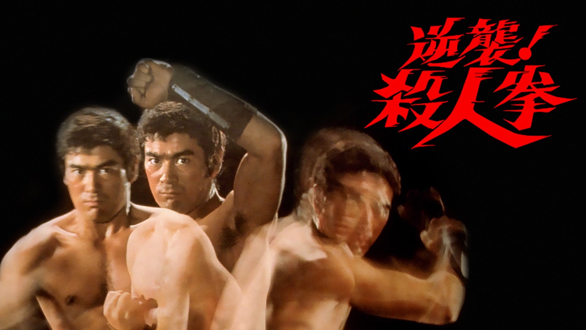 The Street Fighter's Last Revenge