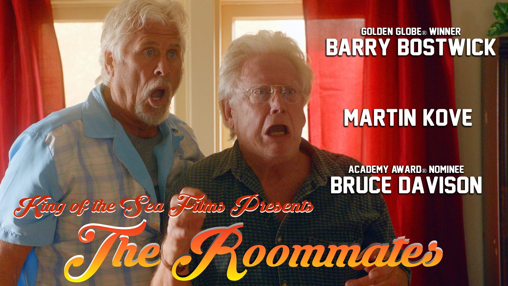 The Roommates ()