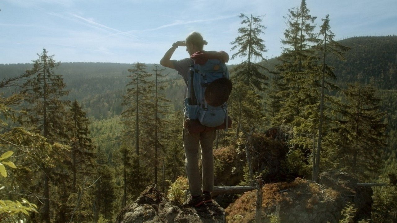 Quand la forêt reprend ses droits - Le parc national de la forêt de Bavière