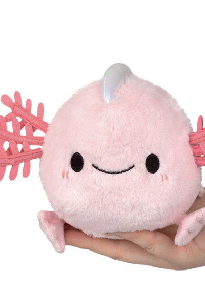 et billede af Callie Zwicker