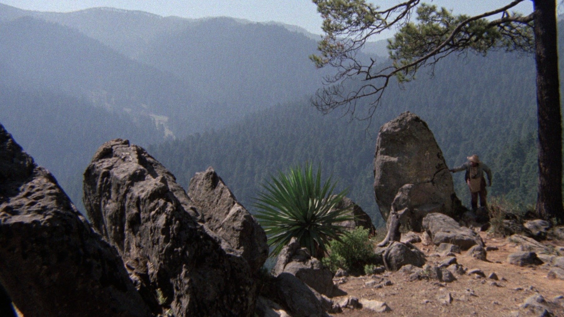 Rapine (1975)