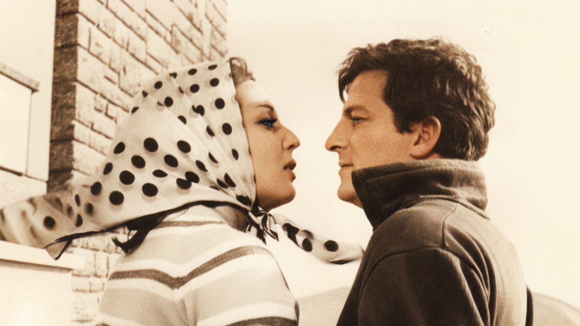 Dişi Örümcek (1963)