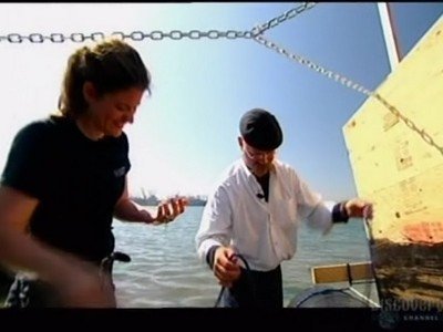 MythBusters