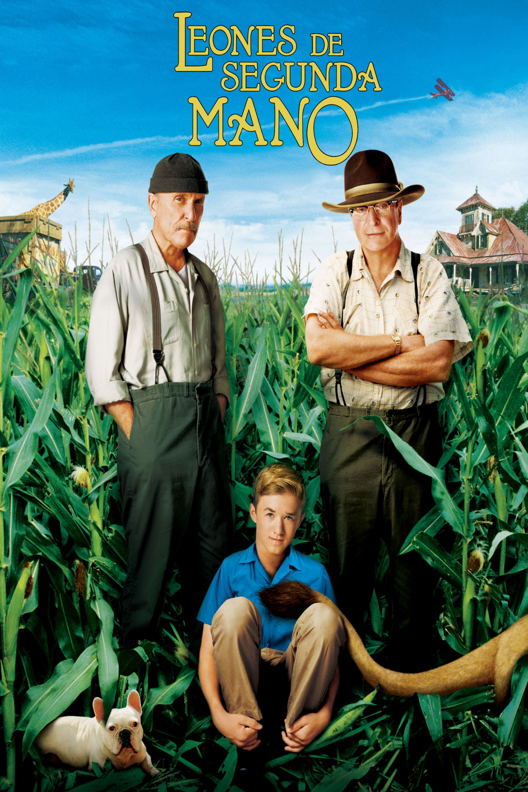 Leones de Segunda Mano