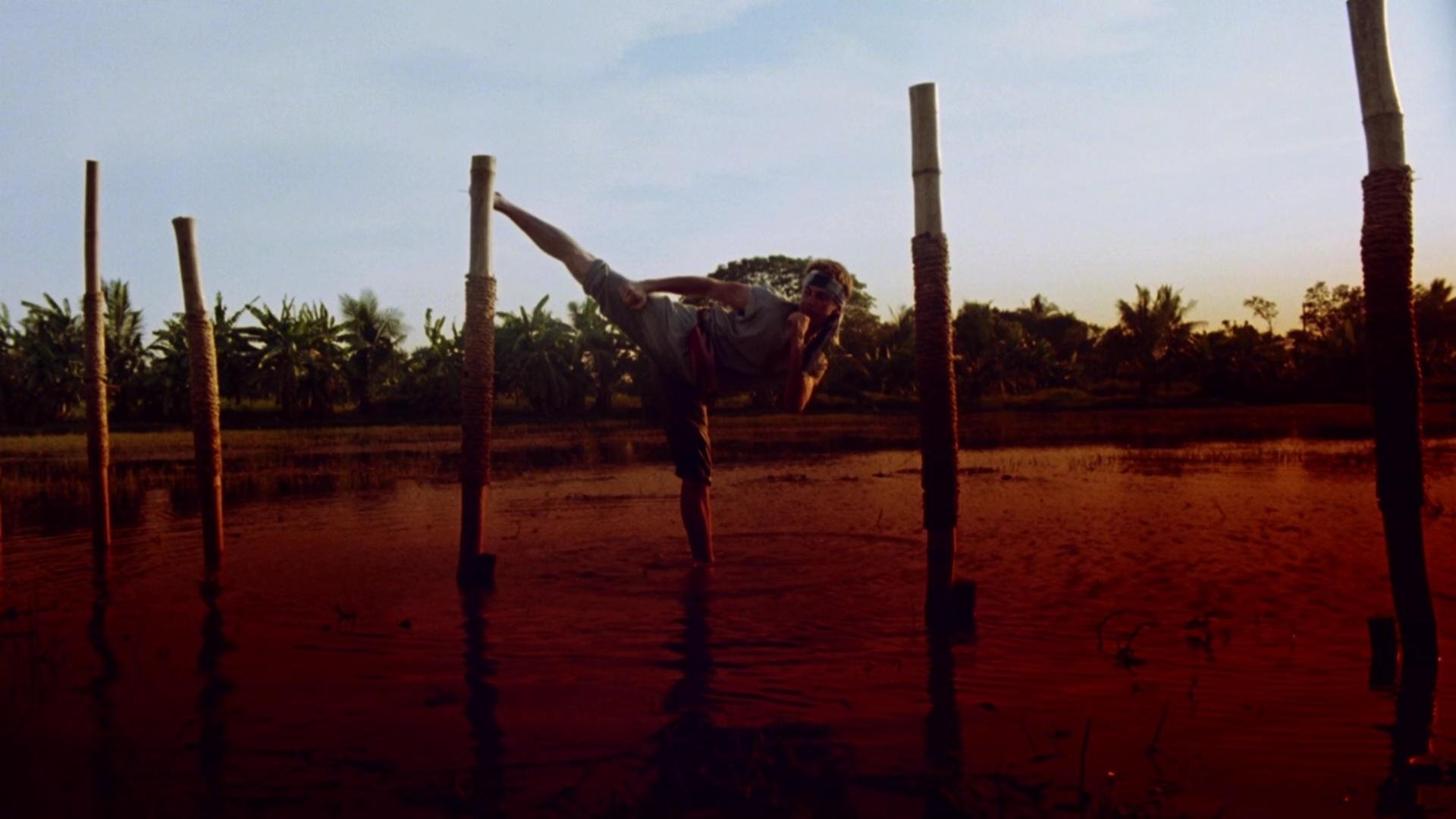 Le Roi du Kickboxing (1990)