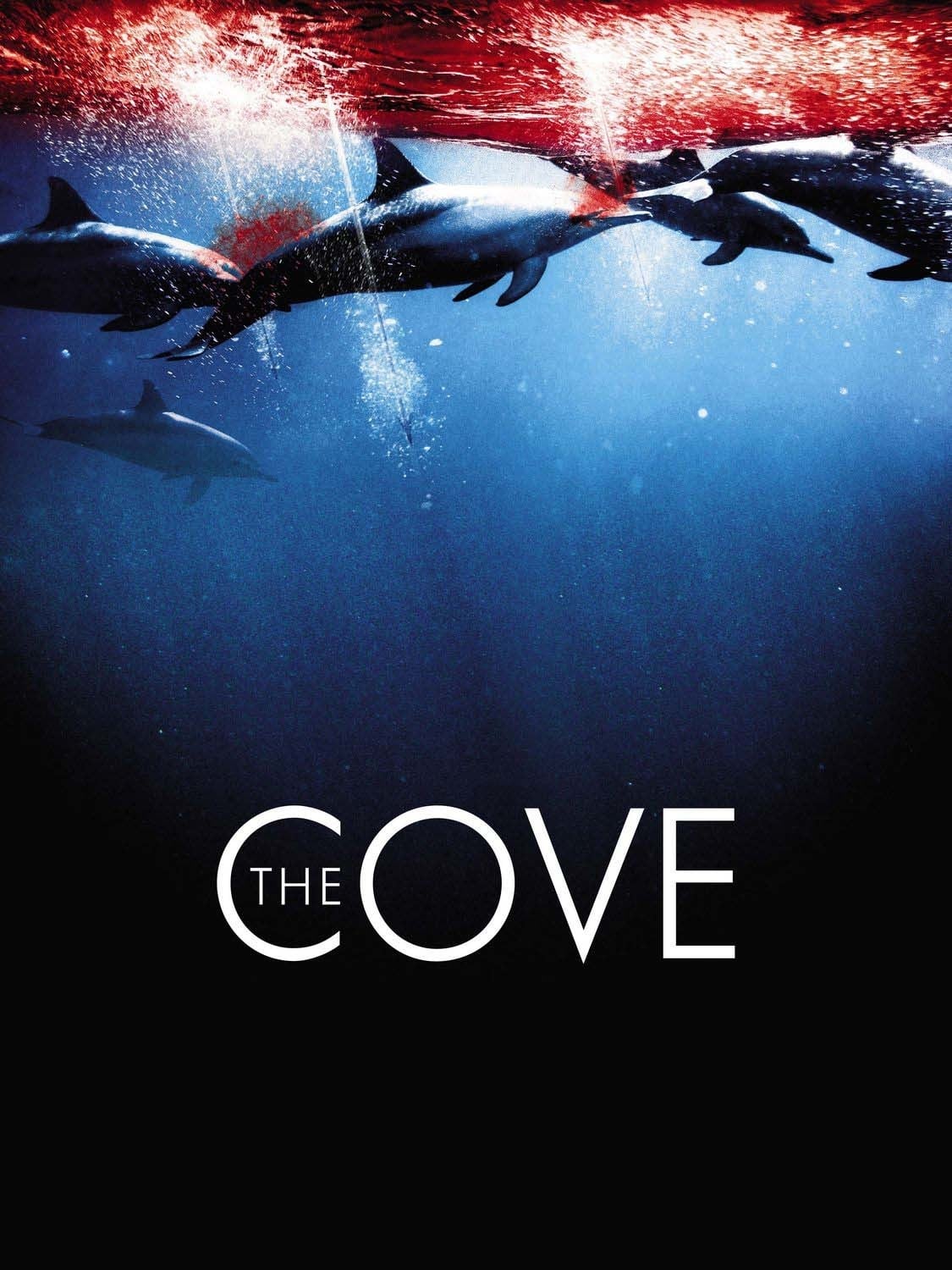 The Cove on FREECABLE TV