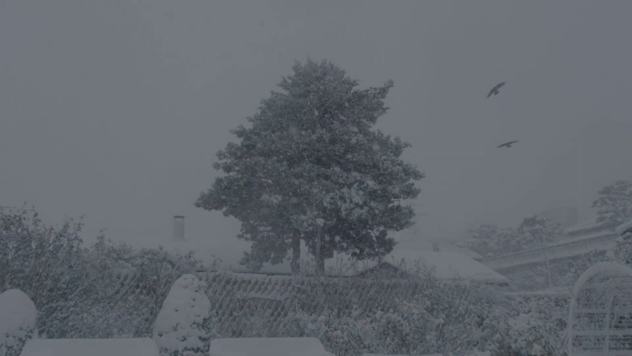 Hello in Hakodate (2019)