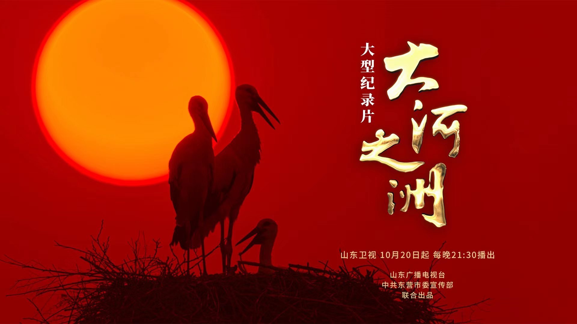 大河之洲 poster