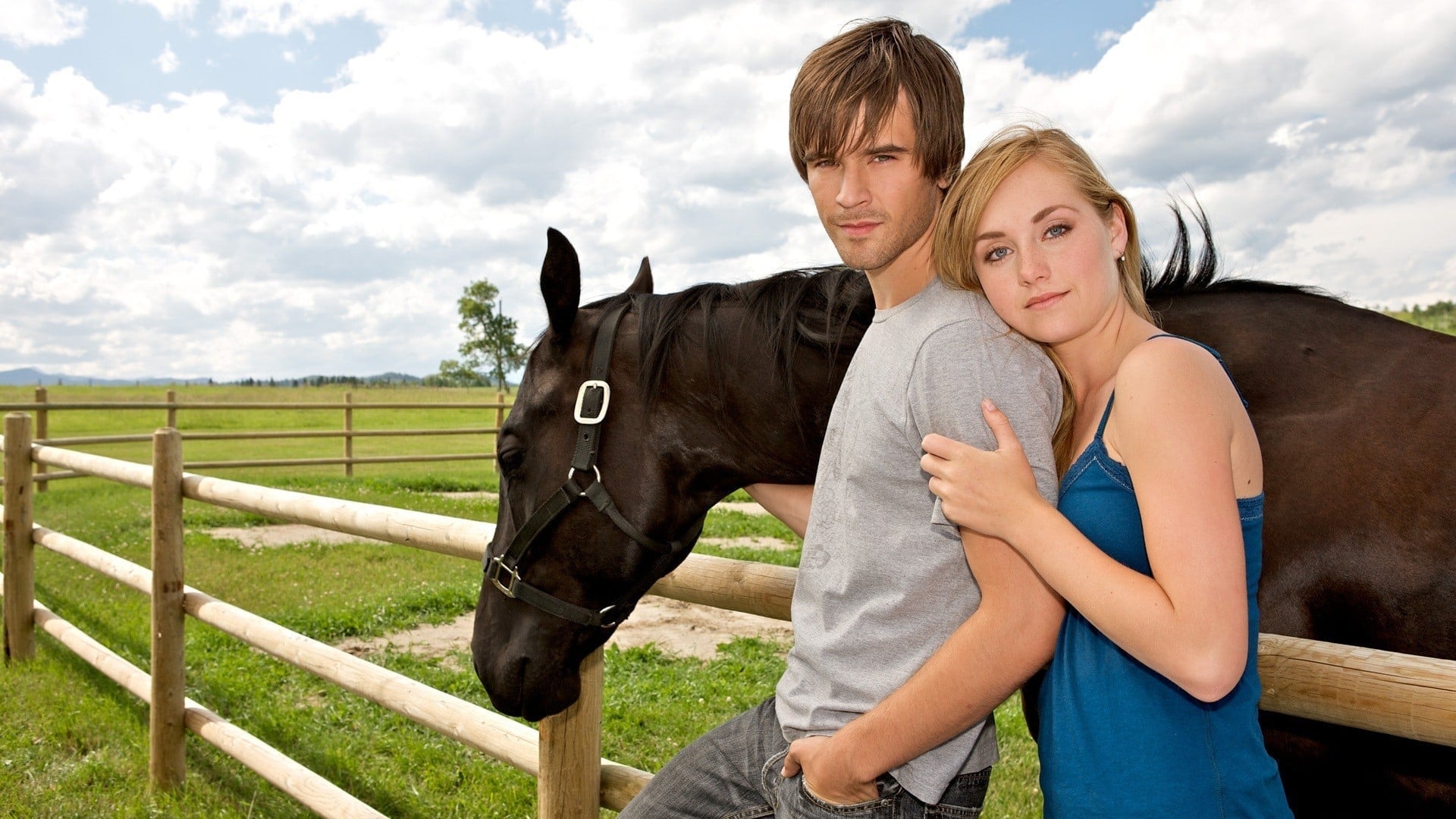 Heartland - Paradies für Pferde - Season 8