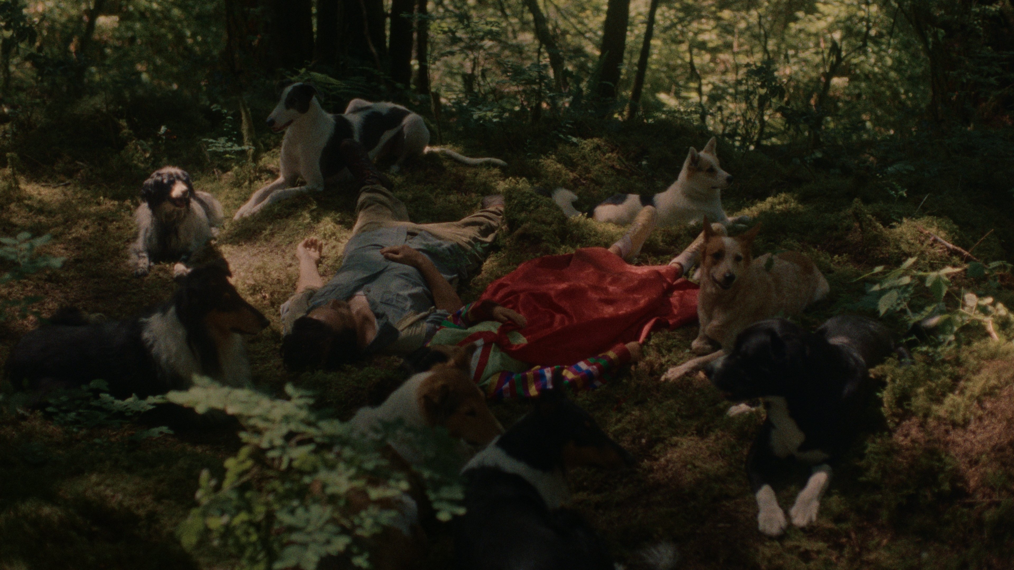 Mongrels (2024)
