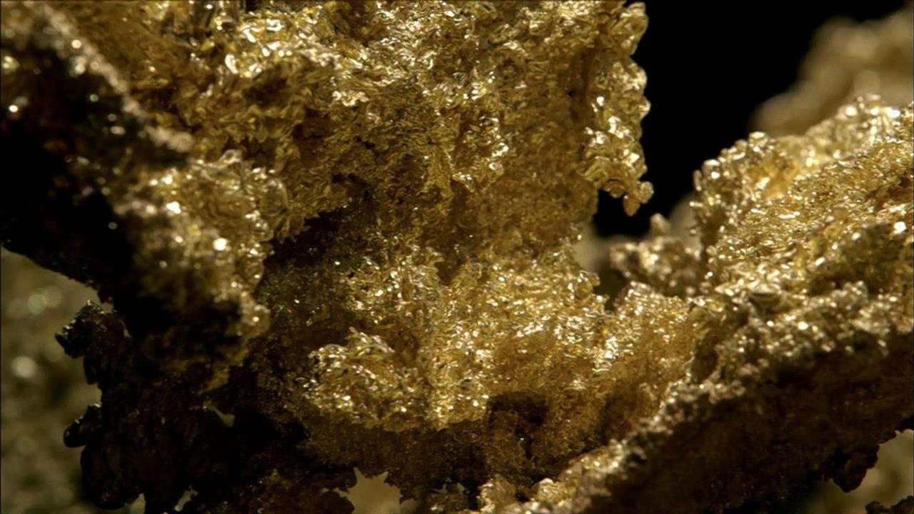 10 Things You Don't Know About