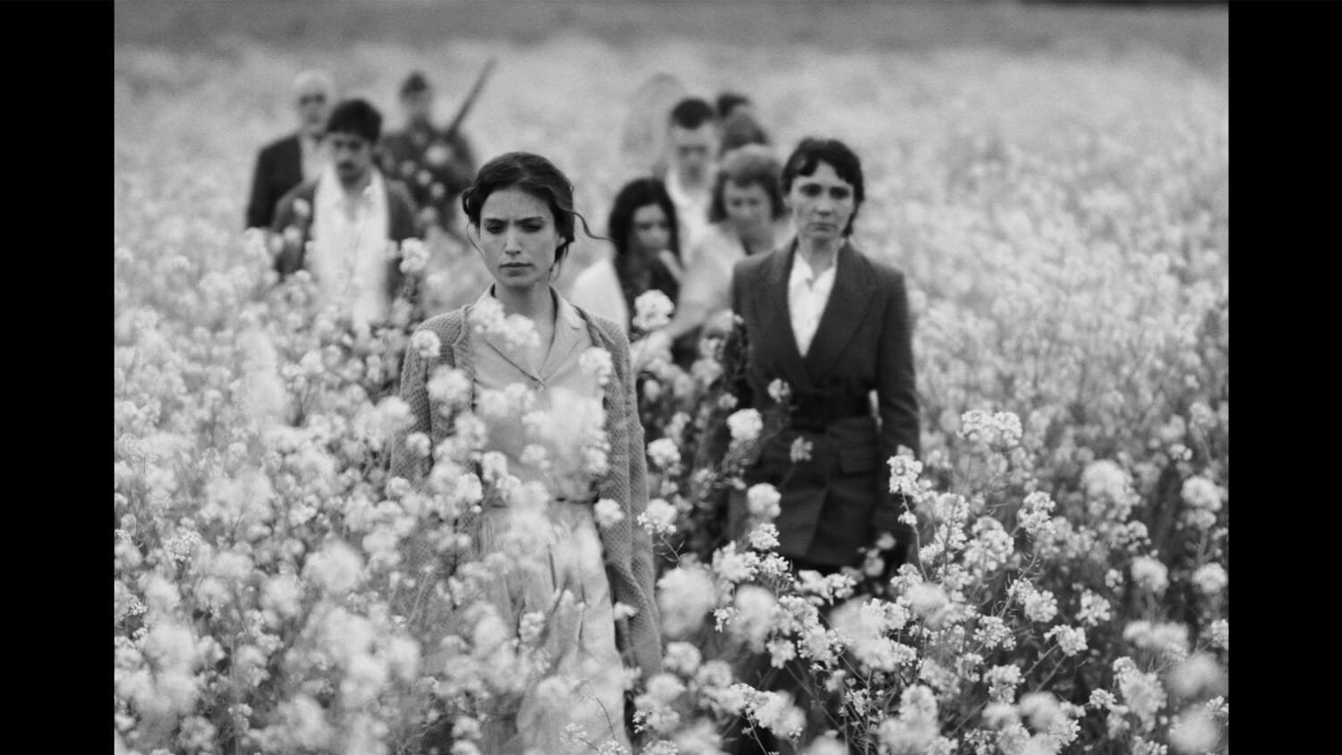 Seeds (2022)