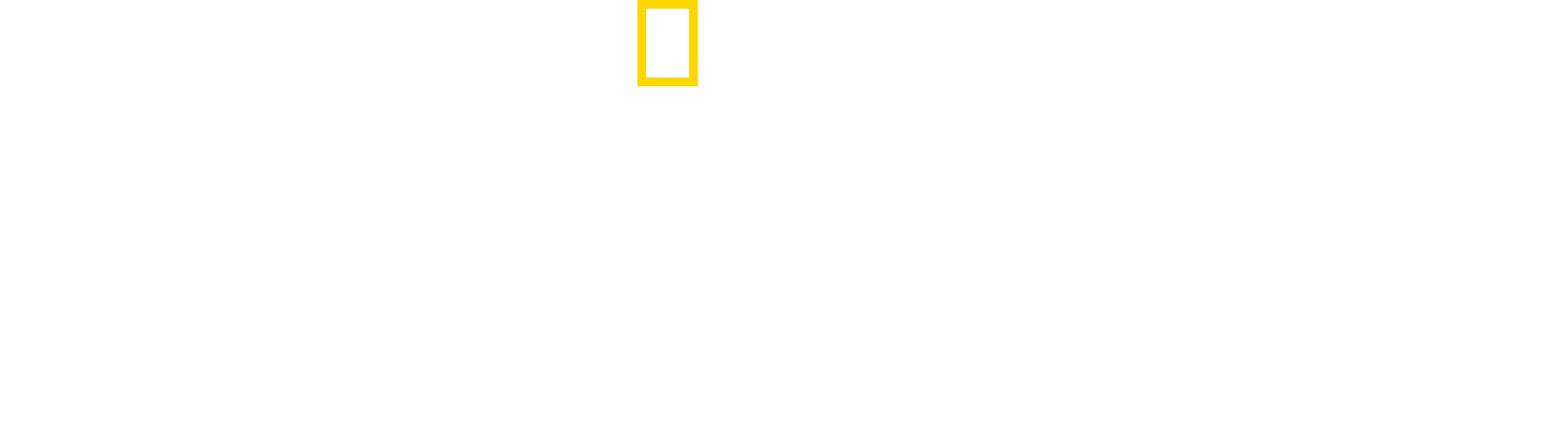 Critter Fixers: Country Vets Logo