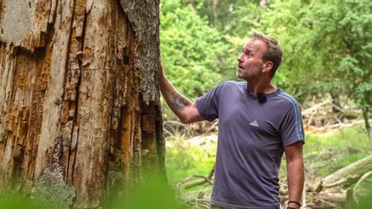 Imagem do Filme De kloge træer