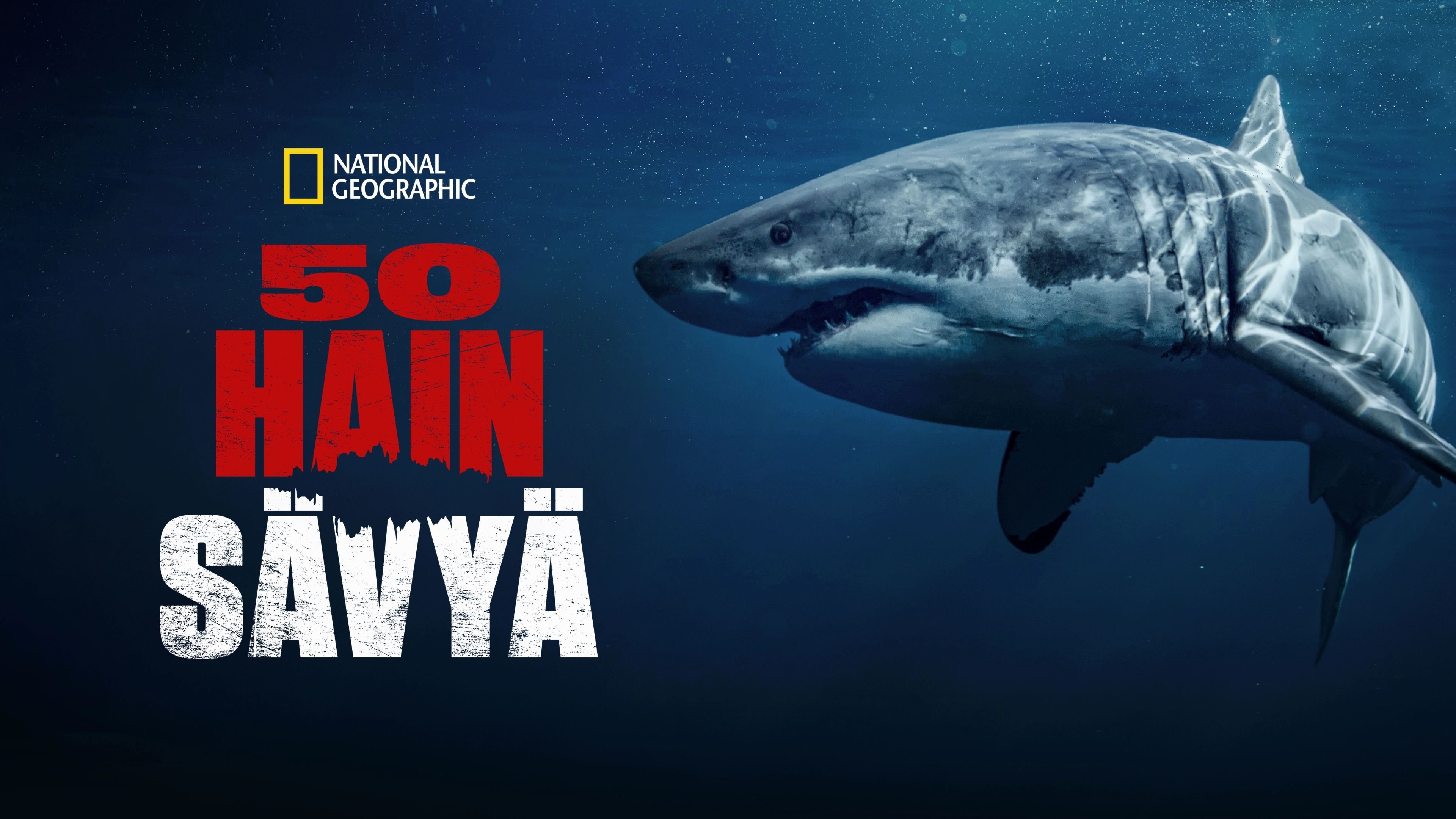 50 Shades of Sharks