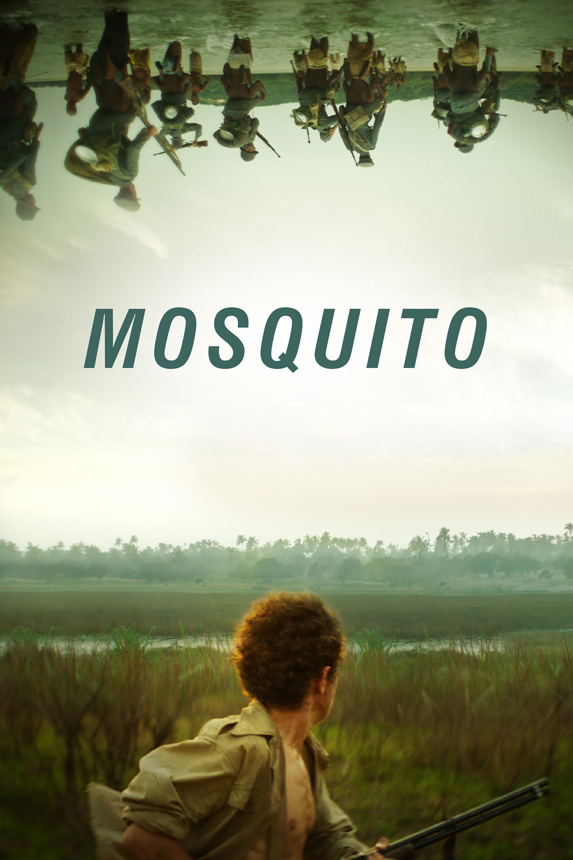 Mosquito