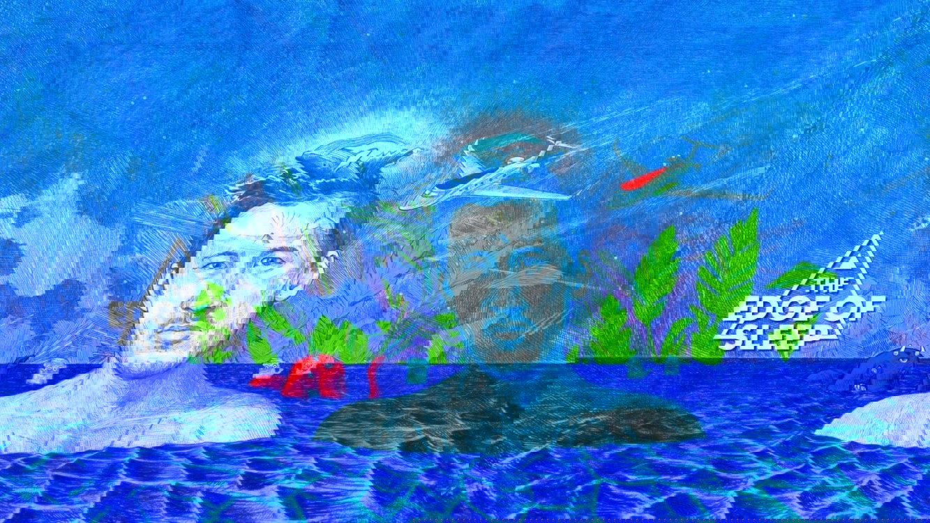 The Edge of Sleep