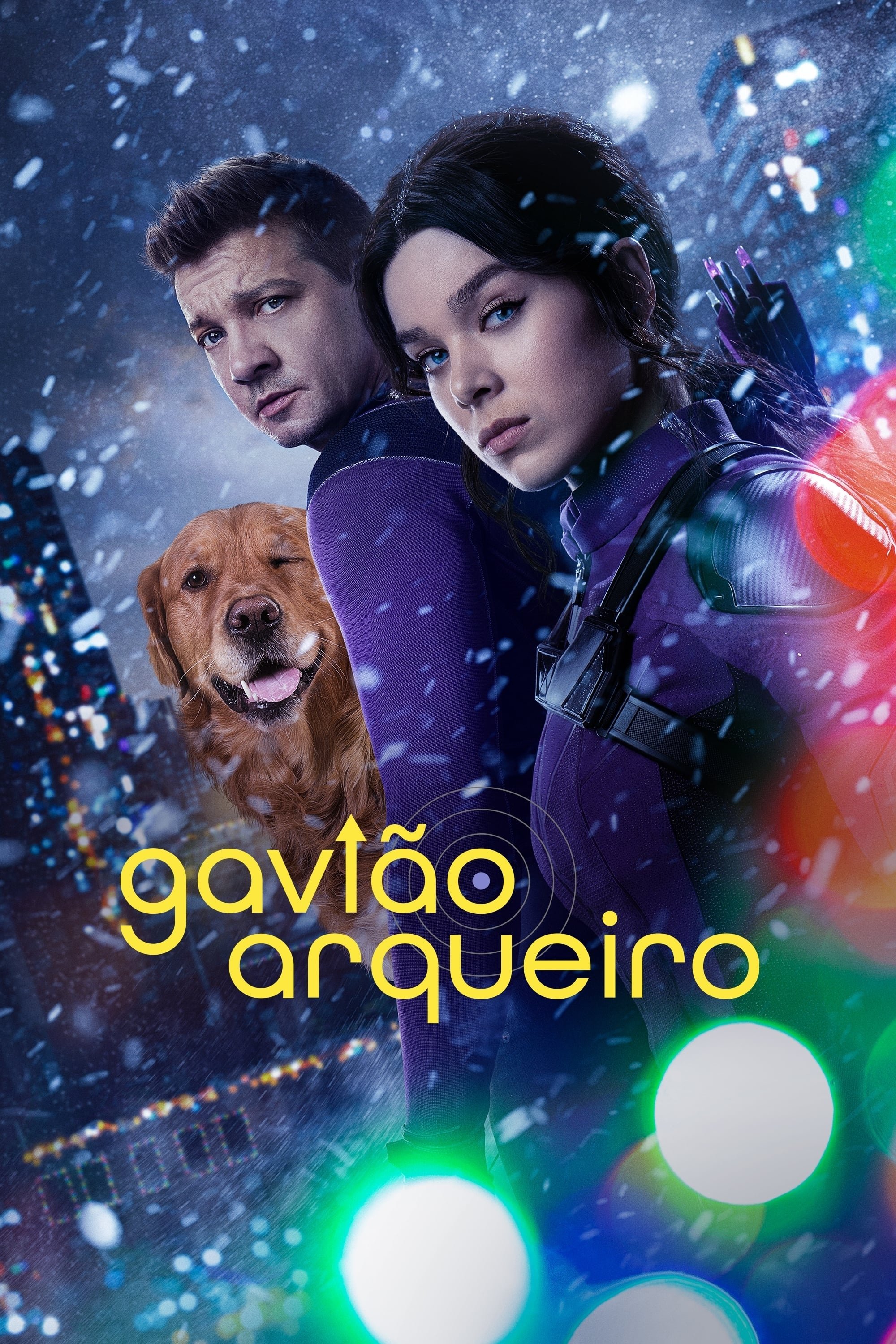 Gavião Arqueiro Gavião Arqueiro