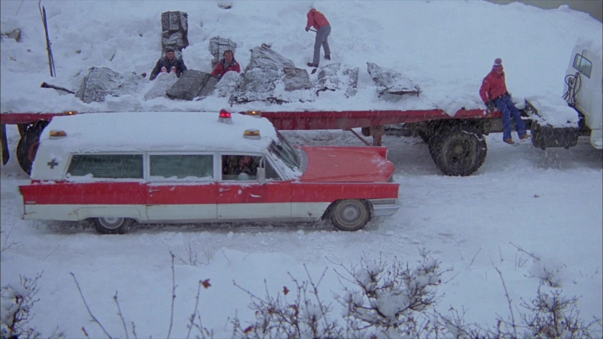 Avalanche (1978)